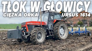 🔥 OSTRA TŁOKA URSUSEM 🇵🇱 Mokra orka 2024 🔥 Ursus 1614 amp Overum CX 🇵🇱 [upl. by Ymas771]