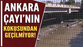 ANKARA ÇAYININ KOKUSUNDAN GEÇİLMİYOR [upl. by Fishback]