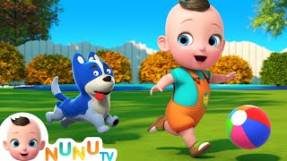 Kick The Ball Song  More Nursery Rhymes  Kids Songs  NuNu Tv [upl. by Byrom]