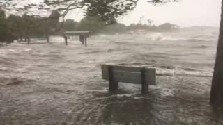 Hurricane Matthew river storm surge strikes Douglas Park in Indialantic [upl. by Orly]