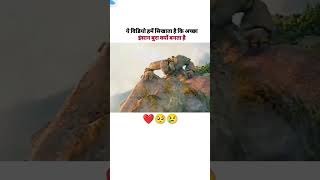 Life ke liye ye video jarur dekho 🙏 shortvideo motivationalquotes videoshort emotional status [upl. by Alessandro200]