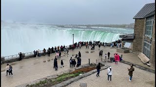 🔴 Niagara Falls Live  Walk to Magnolia Alley Blossoms [upl. by Alicul161]