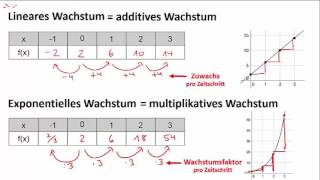 Wachstumsprozesse  Definition von linearem und exponentiellem Wachstum [upl. by Ylrac706]