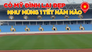 BẤT NGỜ  MẶT CỎ MỸ ĐÌNH LẠI ĐẸP NHƯ MÙNG MỘT TẾT NĂM NÀO [upl. by Aloap]