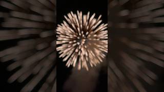 Whomping Willow rocket shorts fireworks [upl. by Liarret]