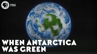 When Antarctica Was Green [upl. by Nossah]