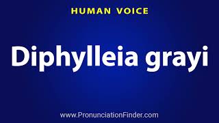 How To Pronounce Diphylleia grayi [upl. by Madalyn]