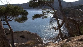 Balade à la calanque de Sugiton  Provence [upl. by Nur]