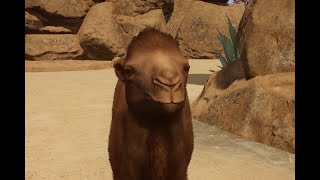 Building a Bactrian Camel habitat in Planet Zoo [upl. by Amolap]