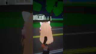 stupider roblox funny [upl. by Streetman]