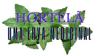 HORTELÃ  Uma ERVA medicinal  Bio Verbena [upl. by Andres]