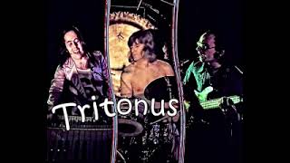 Tritonus  Tritonus  1975  Full Album [upl. by Alius]