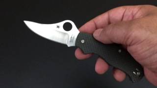 Spyderco TMag The Knife of the Day [upl. by Inhsor]