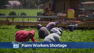 Trump Threats Minimum Wage Overtime Hitting California Farmers Hard [upl. by Anjali975]