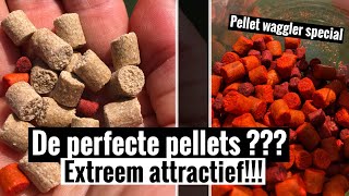 De meest attractieve pellets voor het vissen op brasems en karpers [upl. by Hakkeber]