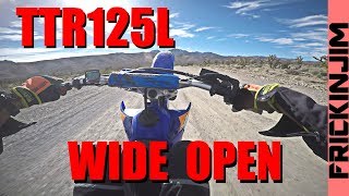 TTR125L  WIDE OPEN DESERT SHRED RESPECT THE BEAST [upl. by Bernardo318]