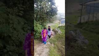 Tihar special goviralshorts youtubeshorts [upl. by Namzaj306]