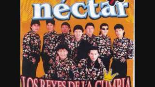 Grupo Nectar  Perdonala amigo [upl. by Romola]