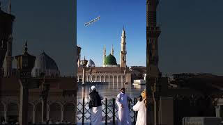 Dur hai mujhe de tera madina 🥹💔✅🫀naat islmaicvideo madina sadness alimaanjum456 [upl. by Nagyam]