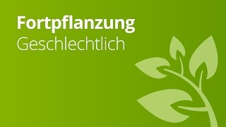 Die verschiedenen Weisen geschlechtlicher Fortpflanzung  Biologie [upl. by Yrolg25]