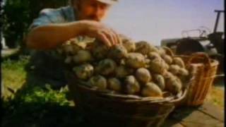 Knodel commercial 1987 alte deutsche werbung with song [upl. by Jarin]