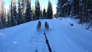 Backcountry Freshies [upl. by Htennaj]