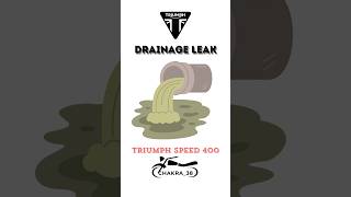 Drainage leak  Triumph Speed 400  Mini Vlog  Chakra38  Bengaluru  Sunday Market Chakra38 [upl. by Sion104]