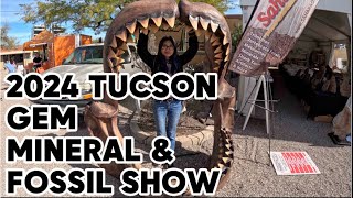 INSANE FOSSILS at the 2024 Tucson Gem Mineral and Fossil Show [upl. by Neladgam]