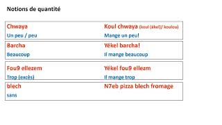 Module 2 leçon tunisien 1  Adverbes [upl. by Mcknight]