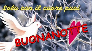 Buonanotte Amici Miei  Il pensiero della buonanotte a domani [upl. by Leinto]