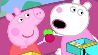 Peppa Pig en Español Episodios completos 🚌 La excursión 🚌 Peppa Pig 2019  Pepa la cerdita [upl. by Ardnohsal]