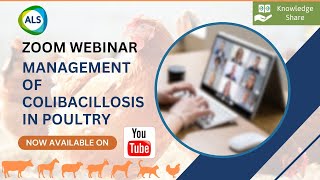 Webinar on quotManagement of COLIBACILLOSIS in Poultryquot [upl. by Halludba615]