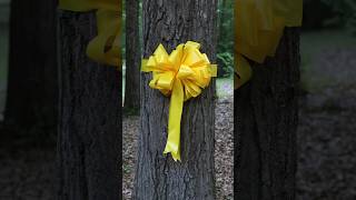 Tie a Yellow Ribbon Round the Ole Oak Tree Shorts [upl. by Mancino]