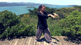 Tai Chi 5 Minutes a Day Module 01  Easy for Beginners  the Wave and Embracing the Moon [upl. by Atled744]