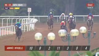 Live Hippodrome « CASABLANCA »  Courses du « 08112024 » [upl. by Langill4]