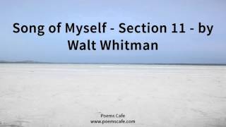 Song of Myself Section 11 by Walt Whitman [upl. by Arianie520]