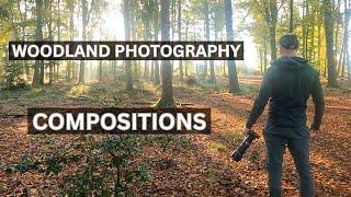 Use these Tips to Find the Best Woodland Photography Composition [upl. by Schwinn648]