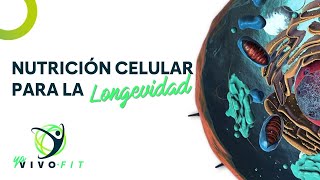 Nutrición Celular Y Antienevejecimiento [upl. by Assiralc]