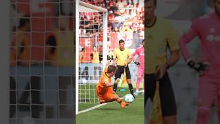 3 Penalty Saves By Lukas Hradecky 🔥 shorts goalkeeper [upl. by Clotilda]