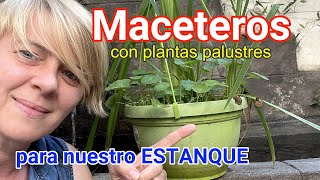 Maceteros con plantas palustres para nuestro estanque [upl. by Haletky]