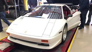 Cizeta Start Up and Revs  16 Cylinders Of Awesome [upl. by Tail69]