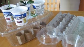 Reusing Toilet Paper Tubes Food Containers for Seedlings Organic Gardening [upl. by Henley]