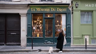 Mindful Christmas Shopping In Paris  A Parisian Vlogmas Day Nine [upl. by Germaine]