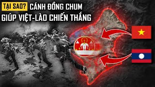 Cánh Đồng Chum Quan Trọng Như Thế Nào Trong Cuộc Kháng Chiến Chống Mỹ [upl. by Hennessey]