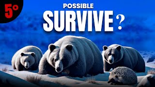 How Animals Survive Winter Hibernation Explained  The Jungle Research [upl. by Ayila578]