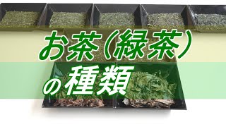 【お茶の種類】8種の緑茶の種類を徹底解説 [upl. by Leihcey281]