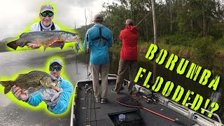 Fishing Borumba Dam 2 Days Before it FLOODED Giant TOPWATER HITS [upl. by Eneryt]