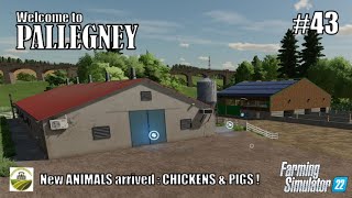 New ANIMALS arrived on farm  CHICKENS amp PIGS  43 PALLEGNEY  FS22  PlayStation 5 [upl. by Wesle]