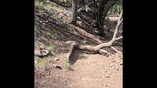 Hiking near Kremmling Co [upl. by Bent]