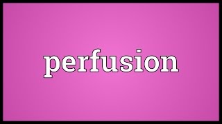 Perfusion Meaning [upl. by Ebenezer]